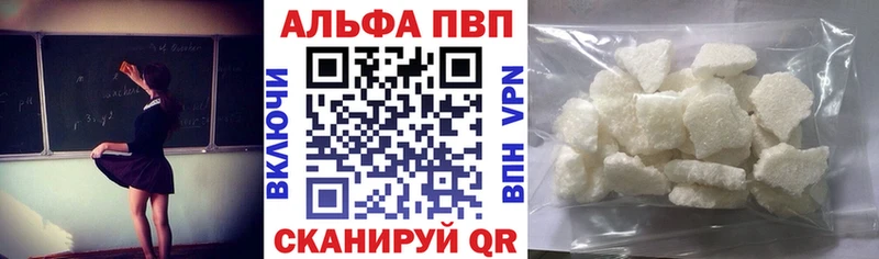 A PVP СК КРИС  как найти   Кашин 