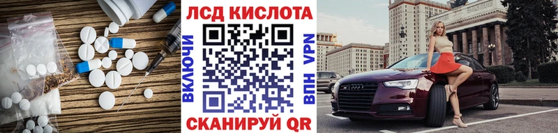 дарк нет как зайти  Кашин  ЛСД экстази ecstasy 