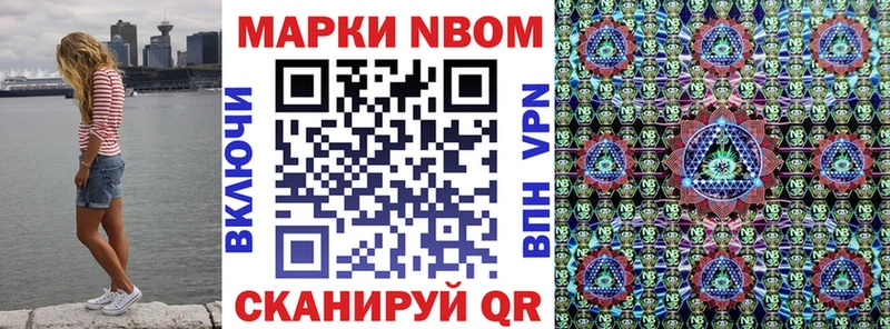 Марки N-bome 1,5мг  продажа наркотиков  Кашин 