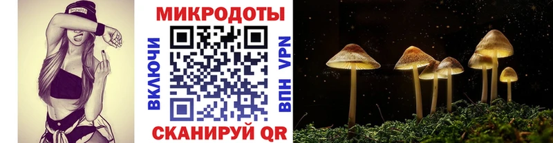 Псилоцибиновые грибы MAGIC MUSHROOMS  ОМГ ОМГ ССЫЛКА  Кашин 