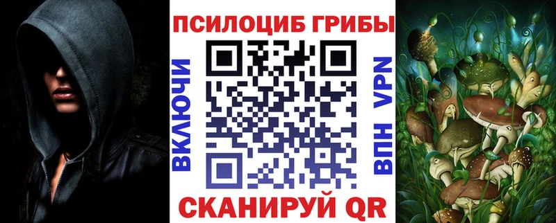 Псилоцибиновые грибы Cubensis Кашин